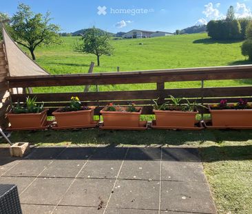 3 Zimmer, 50 m² - Photo 5