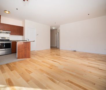 Appartement à louer - Photo 2