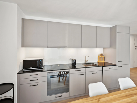 Basel-Aesch - High-quality furnished apartments near the ISB campus - Photo 3