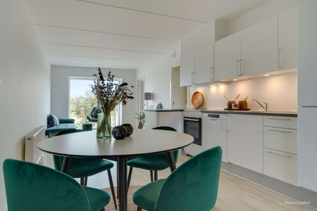 Moderne lejebolig i Odense M med stor tagterrasse - perfekt til den studerende/delebolig - Photo 2