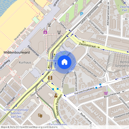 Palaceplein 149, Belgisch Park, 2587WJ, Den Haag