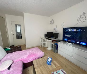 Location appartement 2 pièces 38.43 m2 à Tours - Photo 3