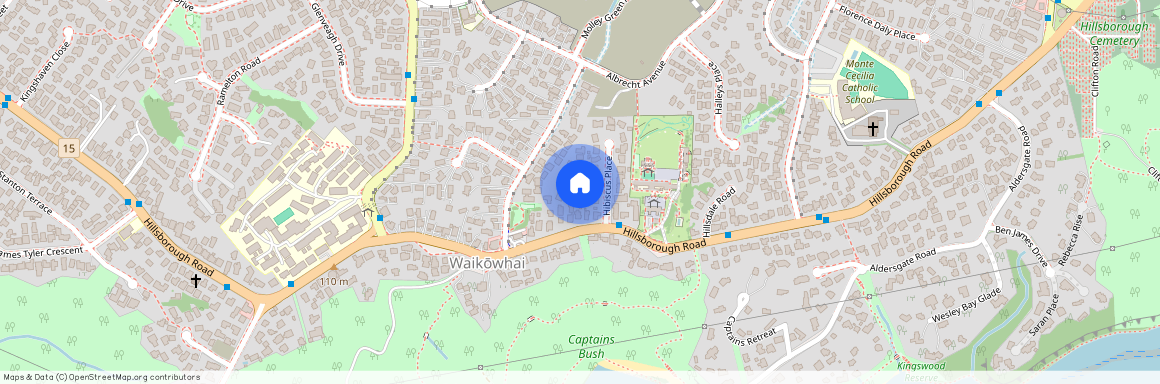 401 Hillsborough Road, Hillsborough, Auckland City