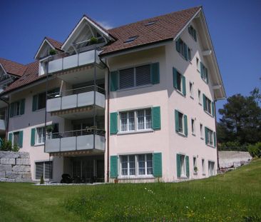 Komfortable 2.5 Zi-Wohnung mit sonnigem Gartensitzplatz - Foto 6