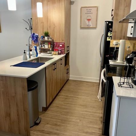 Superbe logement à louer – Saint-Charles-Borromée (Joliette) - Photo 3