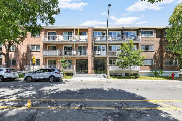 Renovated Apartments for Rent in Vieux-Rosemont – Steps from Masson Street - Photo 1