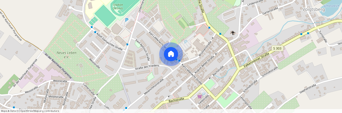 Karl-Liebknecht-Str. 37, 08606 Oelsnitz/V.