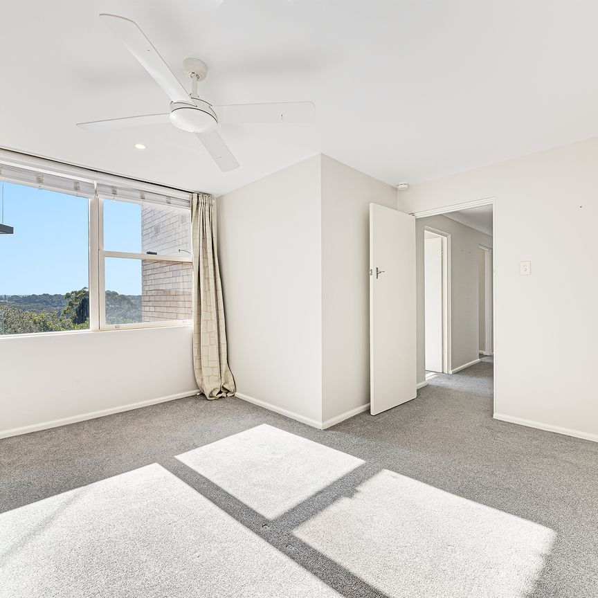 14/24 Cammeray Road, Cammeray NSW 2062 - Apartment For Rent | Domain - Photo 1