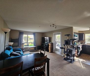 Large 2bed 2bath Condo; Rutland – Available May or June - Photo 2