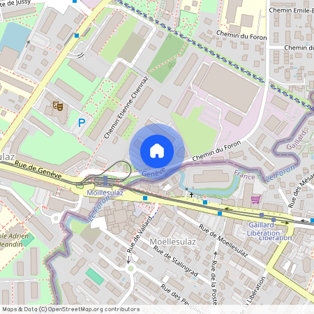 1226, Thônex, Chemin du Foron, 1