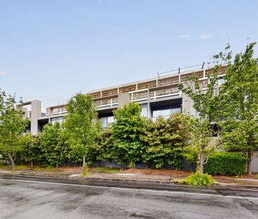 206/38 Harold Street, Hawthorn East VIC 3123 - Apartment For Rent |... - Photo 1