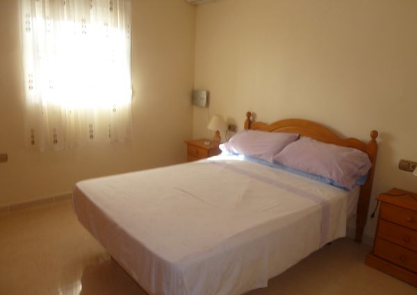 53 Tulipan – Id. 393