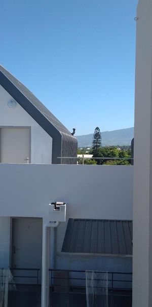 Location Appartement 1 pièce 29m² ST PIERRE 97410 - Photo 2