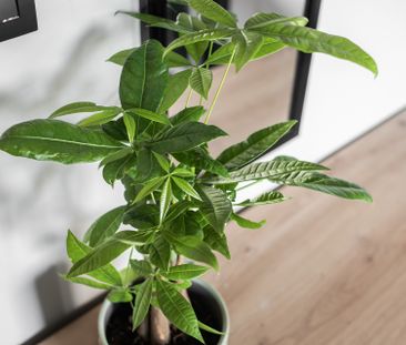 URSYNÓW - Zdjęcie 5