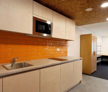 Bronze Studio - Photo 4