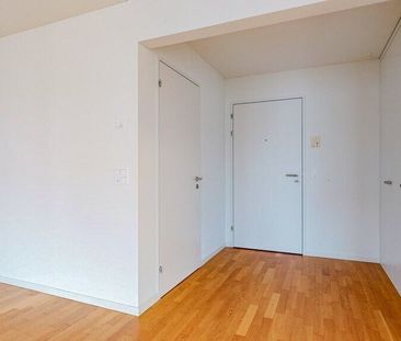 In the countryside - in the middle of Zurich - Photo 4