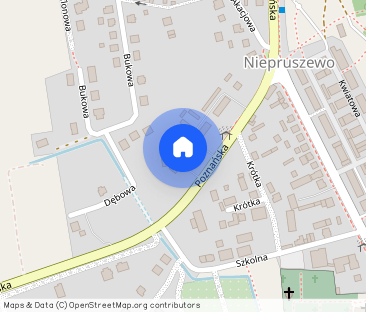 Bez czynszu mieszkanie z 2 niezależnymi pokojami, po remoncie - Zdjęcie 1