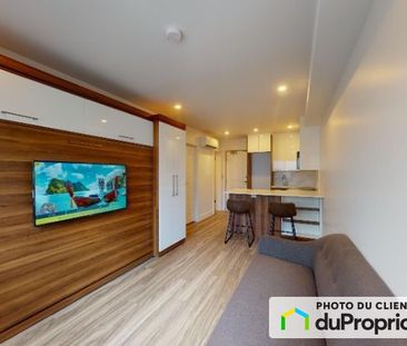 1150, Marie-Anne, Le Plateau-Mont-Royal à louer - Photo 1