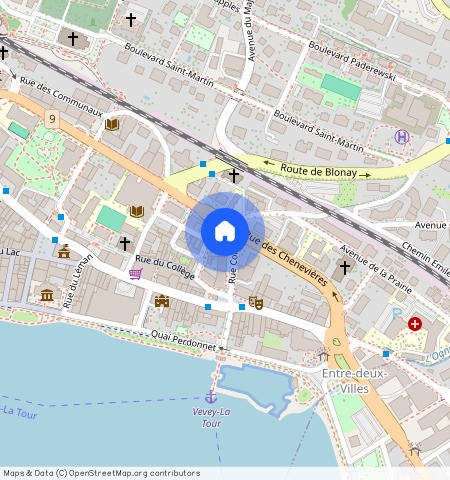 Rue des Chenevières **, 1800, Vevey