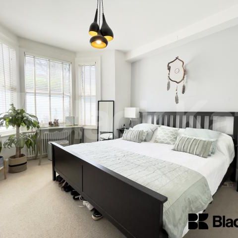 Beautiful garden flat marrying period charm with contemporary living - Photo 1