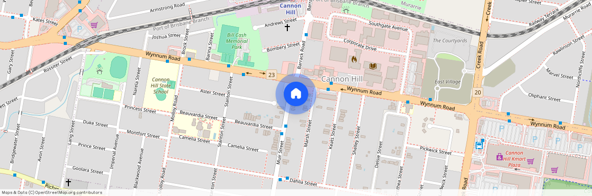 12 Muir Street, Qld 4170, Cannon Hill