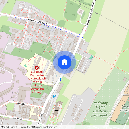 Katowice, Szopienice