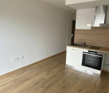 Appartement Montigny Les Metz 1 pièce - Photo 3