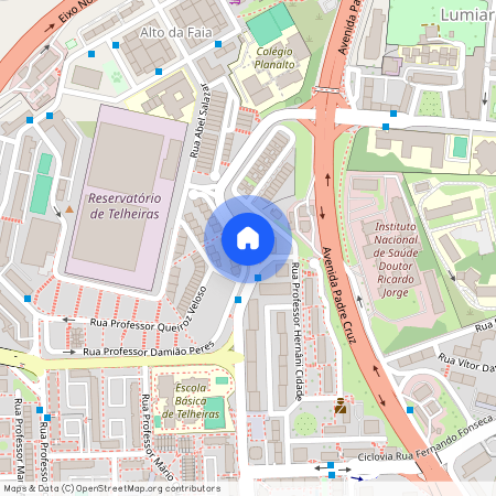 Professor Vieira de Almeida, Lisboa