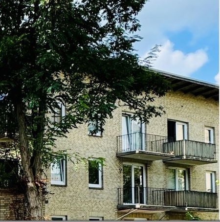 Moderne 2 Zimmer Whg. im Dachgeschoss - Photo 3