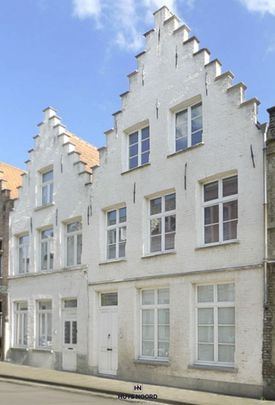 Ruime Herenwoning met Terras - Photo 1