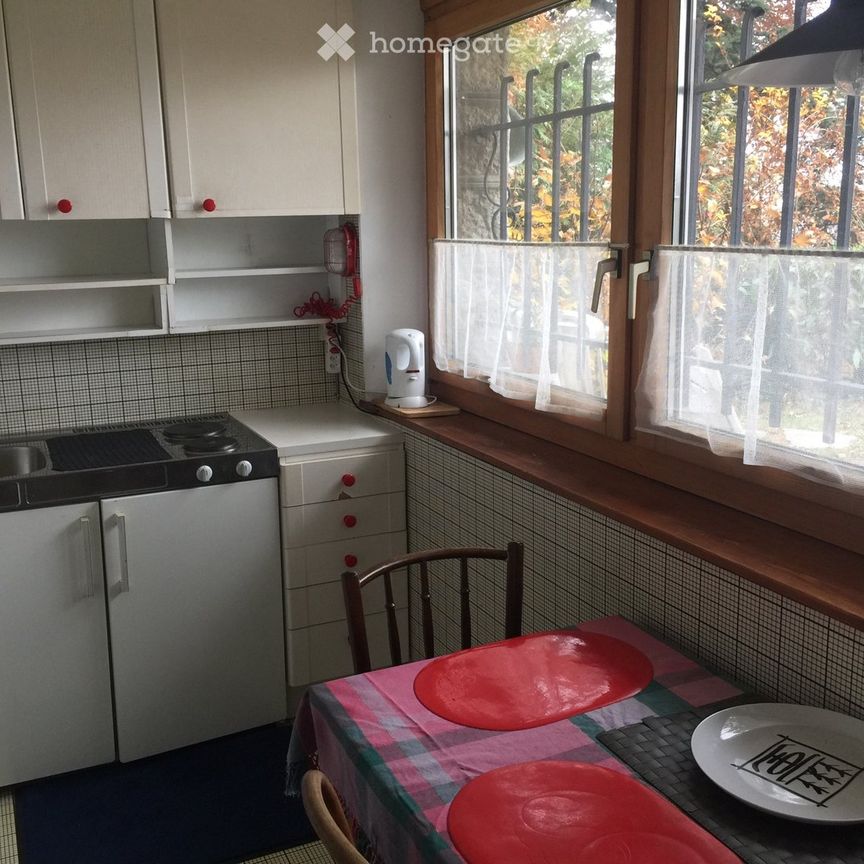 1 Zimmer, 23 m² - Foto 1