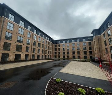 Erasmus Drive - Photo 3