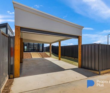 "Brand new treat!" - Photo 1