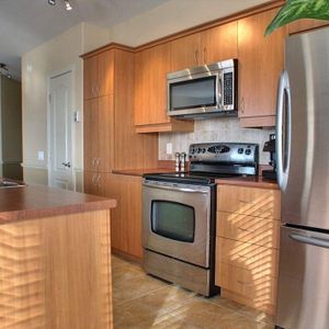 Très grand condo 3 et demi de 1040 pi2 centre ville de Laval - Photo 2