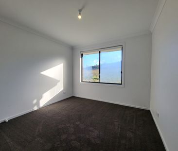 Modern Pet-Friendly Family Home - Photo 4