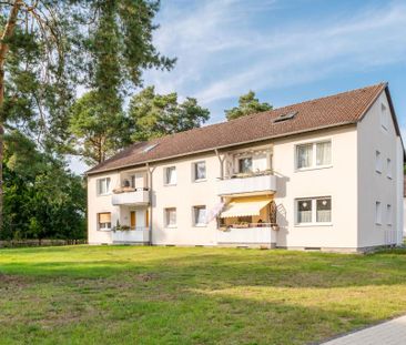 Demnächst frei! 1-Zimmer-Wohnung in Celle Klein Hehlen - Photo 1