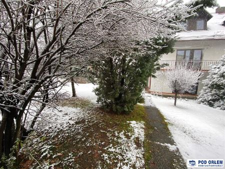 Mieszkanie śląskie Siemianowice Śląskie powierzchnia 38.0 m² C234-WM-65892 - Zdjęcie 2