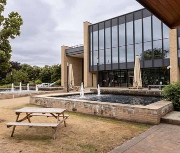 Deluxe (Shared Bathroom) - Photo 6