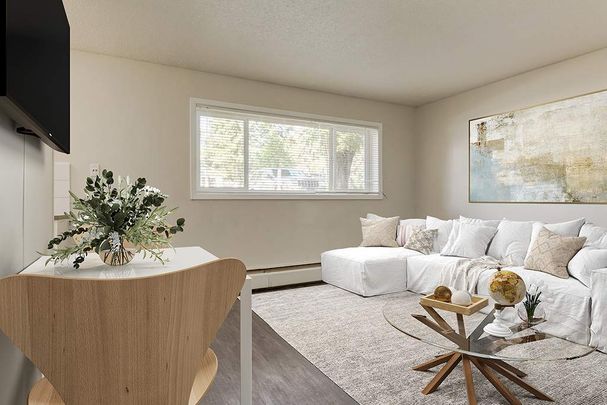 Renovated Suite - 1 Bedroom - Photo 1