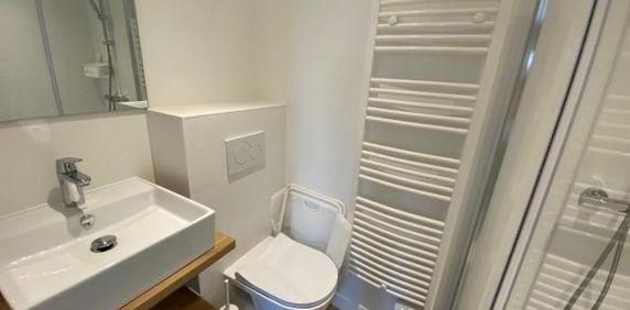 Appartement à louer, 1 pièce - Angers 49100 - Photo 2