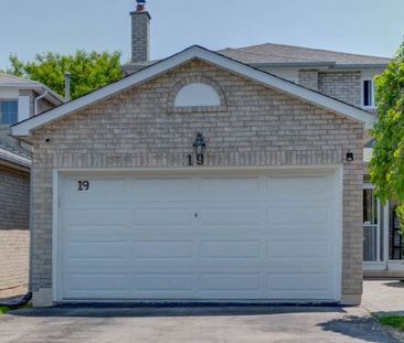 For Lease - 19 Bingham Street Unit# Basement, Richmond Hill, Ontario - Photo 6