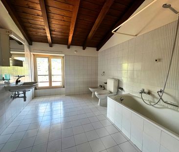 CHIASSO - SPACIOUS STUDIO APARTMENT - Photo 4