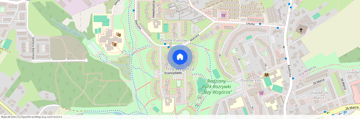 Wodzisław Śląski, wodzisławski, śląskie