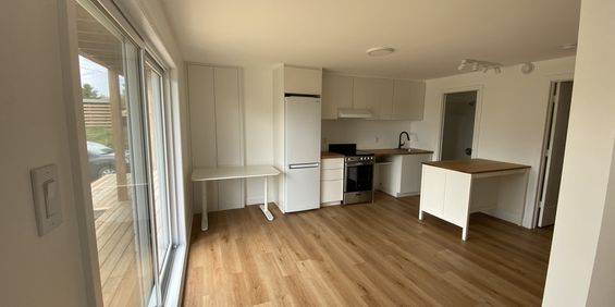 3 Et 1/2 Neuf Meublé à Sainte-Agathe - Photo 3