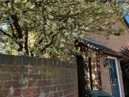 1 Bed Terraced House, Portland Road, N15 - Photo 2