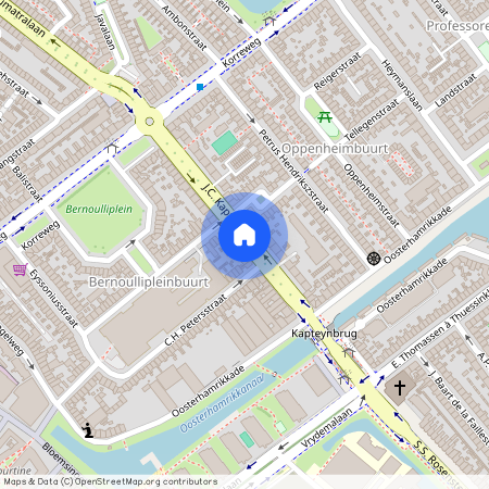 Professorenbuurt, 9714 CR, J.C. Kapteynlaan, Groningen