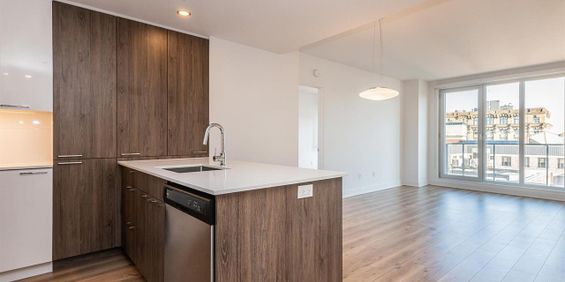 One Bedroom - 693 William Street, Montréal - Photo 3