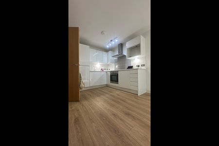 1 Bed Flat, Princeton Place, L8 - Photo 5