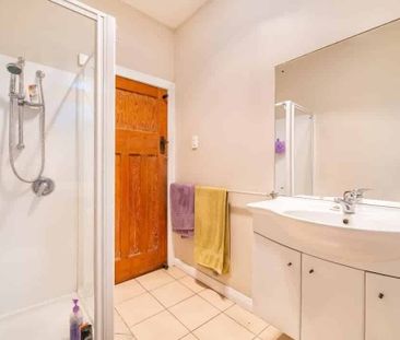 Modern, Sunny Flat in Aro Valley - Photo 5