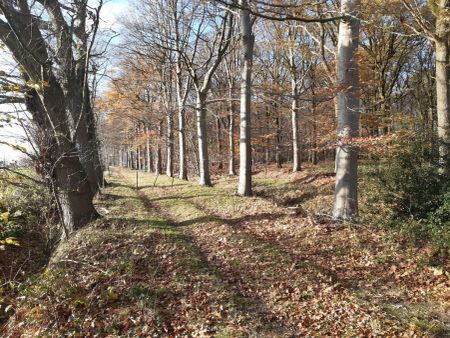 Uitzonderlijk gelegen villa. - Photo 3